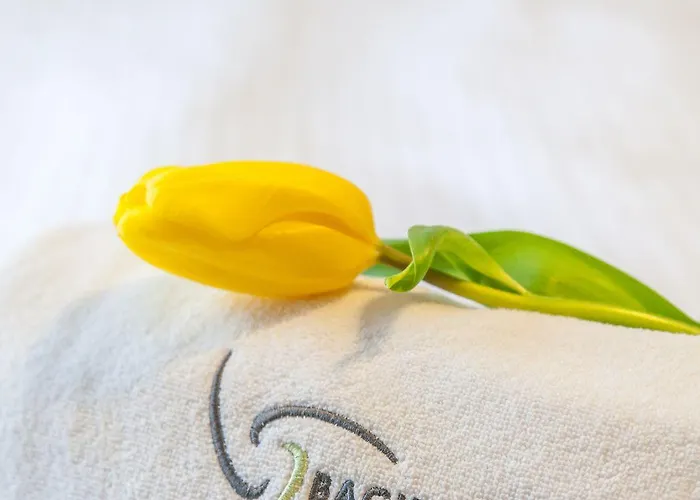 Hotel Bachledówka 3*